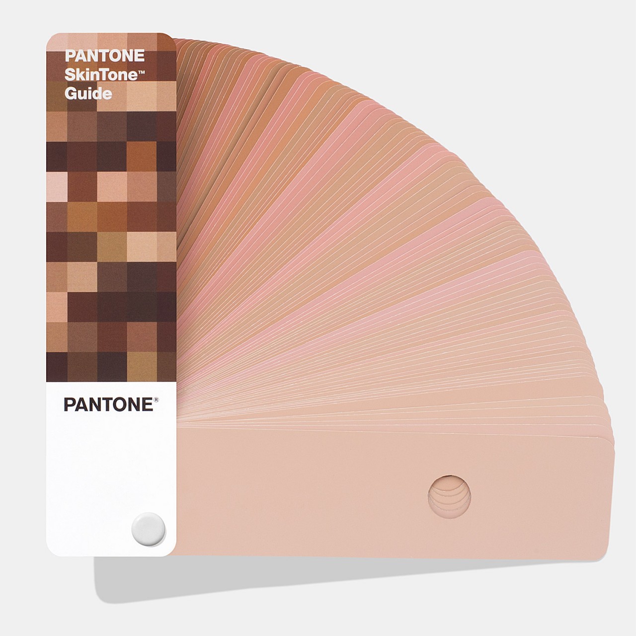 Pantone Skintone Fan Guide Pantone STG201